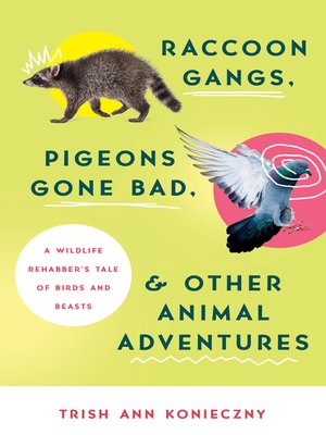 cover image of Raccoon Gangs, Pigeons Gone Bad, and Other Animal Adventures